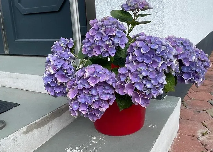In In Perfect Situaton Near Vic And Donau Park With Pool And Private Garden Sleeps 4 With 2 Bedrooms, Kitchen And Livingroom And Bath And Private Parking Villa *