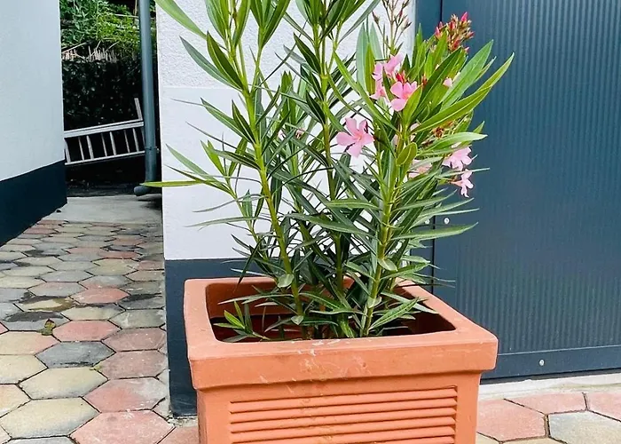 In In Perfect Situaton Near Vic And Donau Park With Pool And Private Garden Sleeps 4 With 2 Bedrooms, Kitchen And Livingroom And Bath And Private Parking Villa Vienna