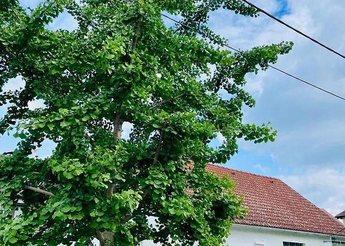 In In Perfect Situaton Near Vic And Donau Park With Pool And Private Garden Sleeps 4 With 2 Bedrooms, Kitchen And Livingroom And Bath And Private Parking